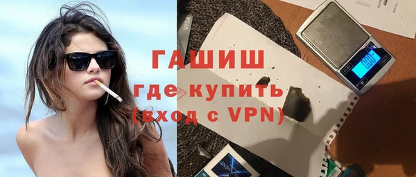 шишки Каменногорск
